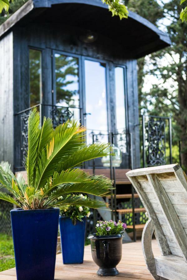 Sous Les Platanes B&B Châteaurenard Kültér fotó